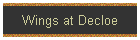Wings at Decloe